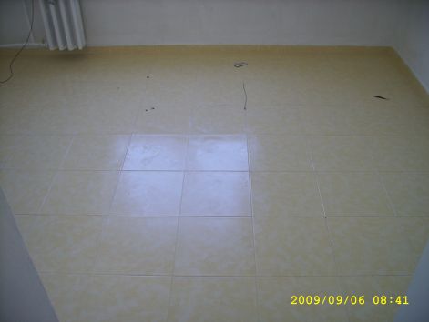 ssa50412.jpg